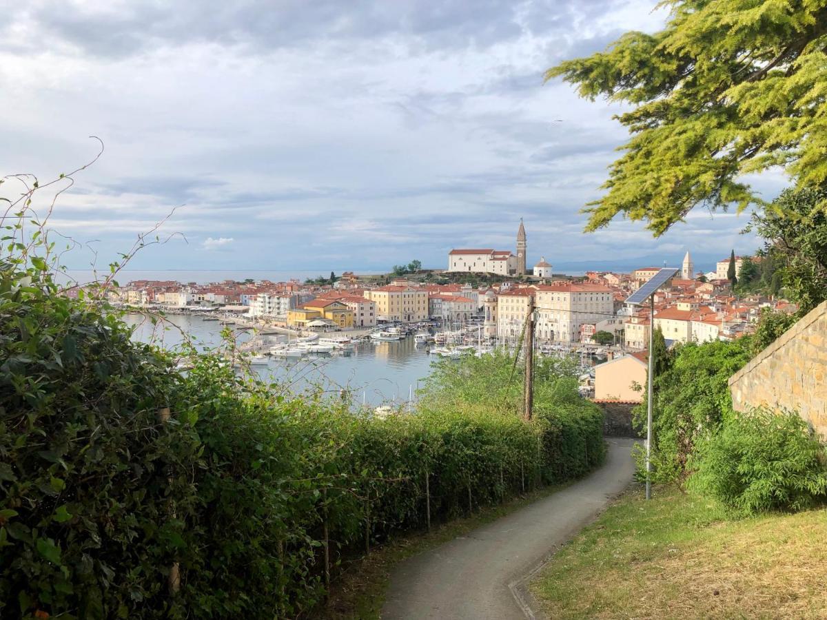 Apartment Modrin Piran Kültér fotó