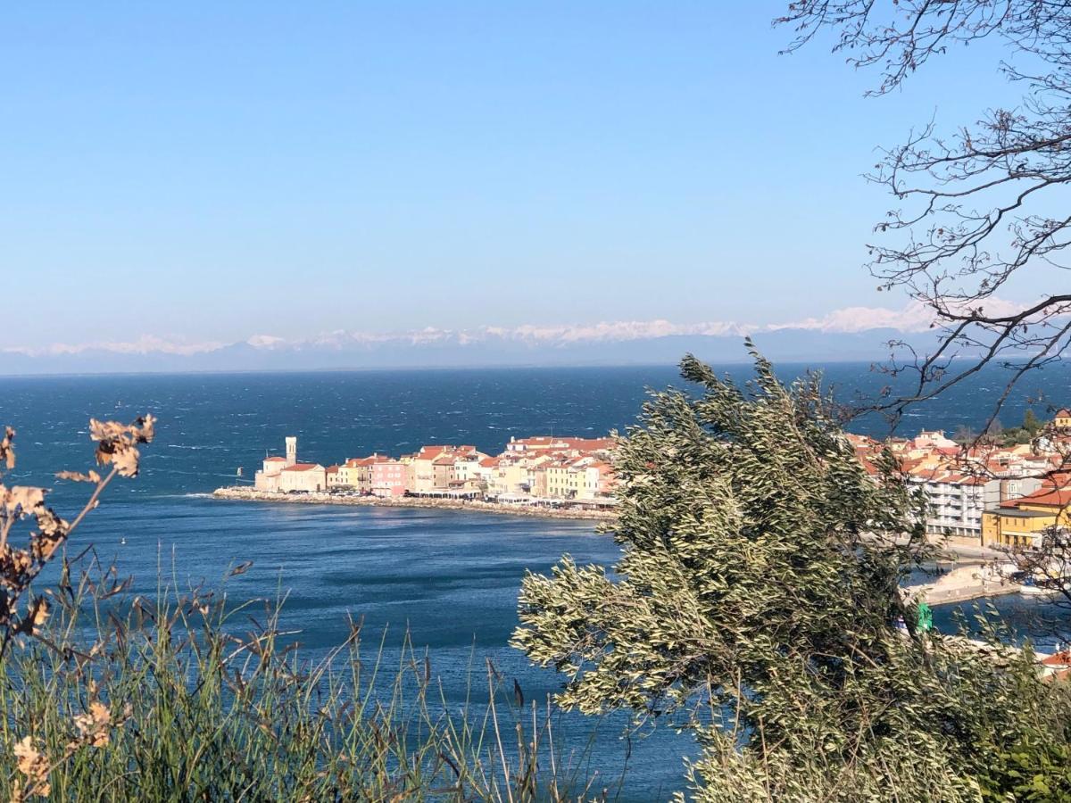 Apartment Modrin Piran Kültér fotó