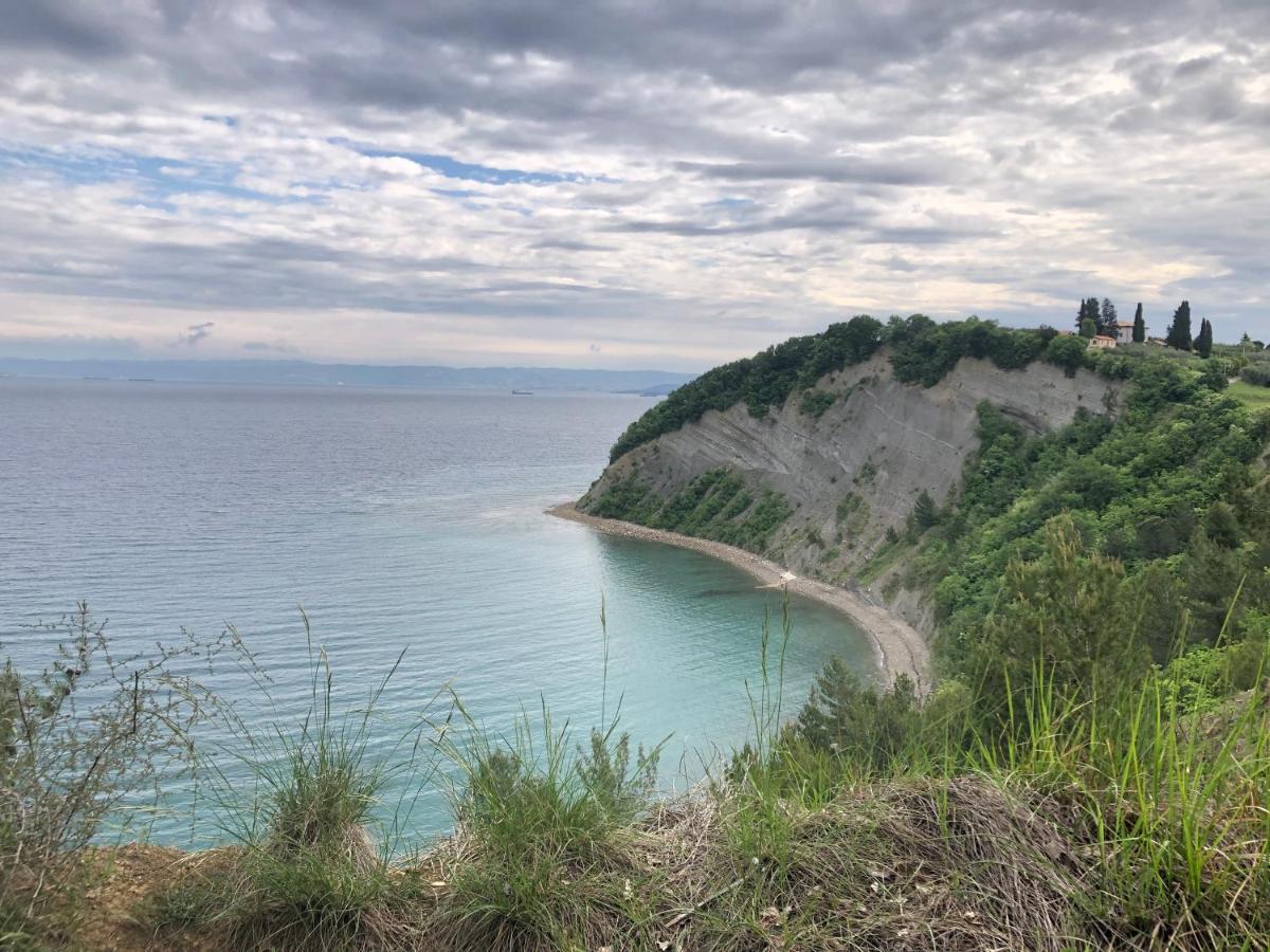 Apartment Modrin Piran Kültér fotó
